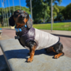 Chaleco Puffer Denver
