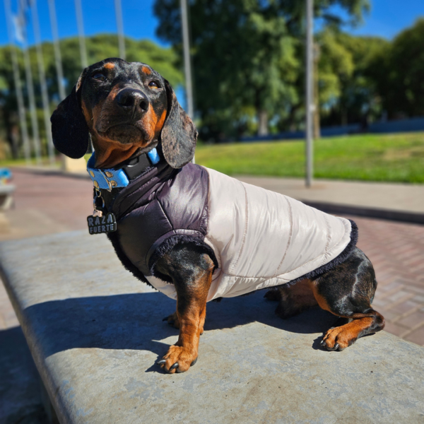Chaleco Puffer Denver