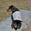 Chaleco Puffer Denver