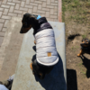 Chaleco Puffer Denver