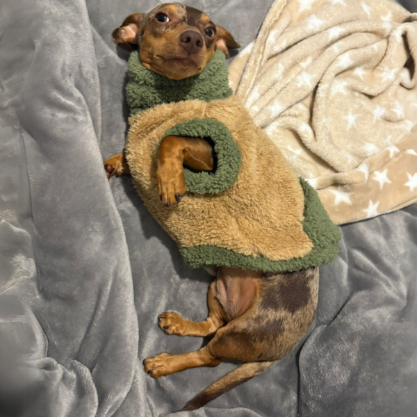 Chaleco Wilson Estampado